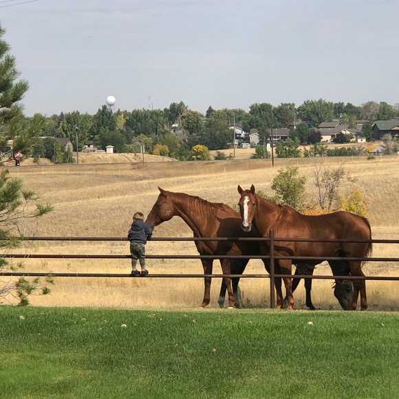 Meet your Posher, Demi - Picture 5 of 11